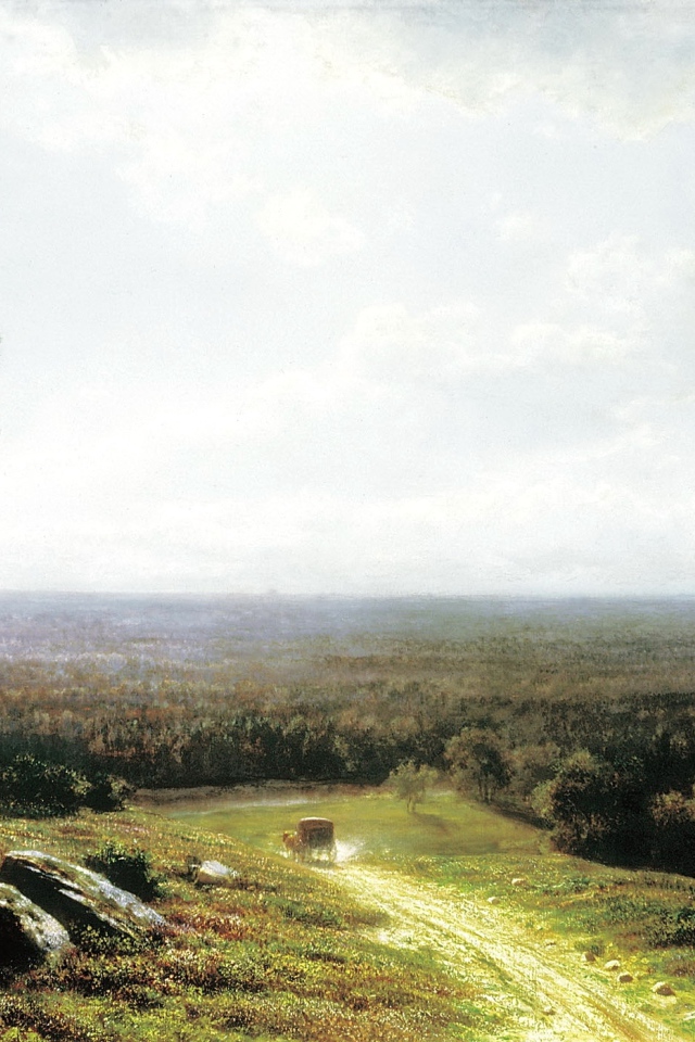 Одинокое дерево у дороги