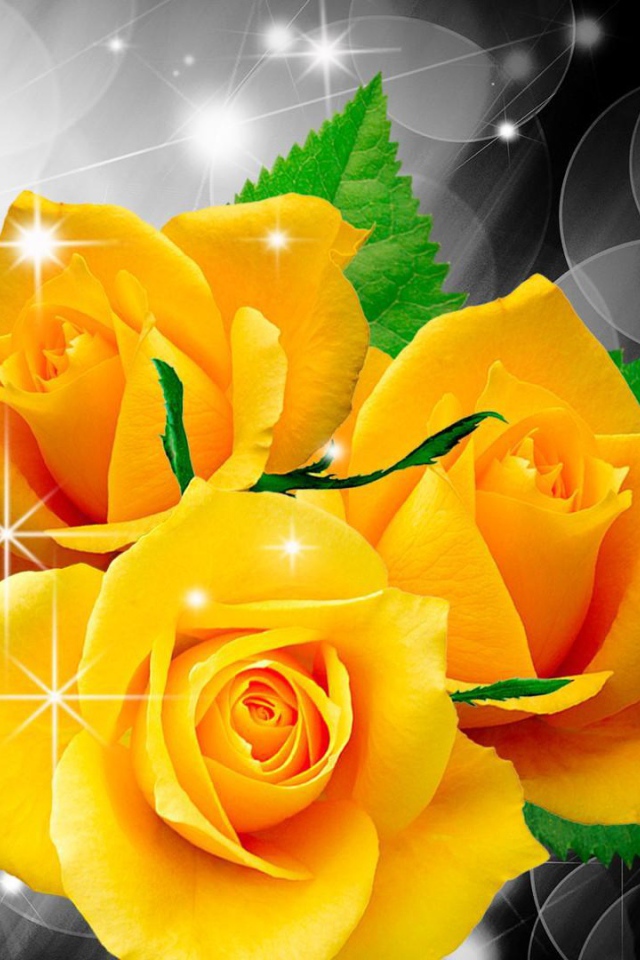 Жёлтые розы и бабочка