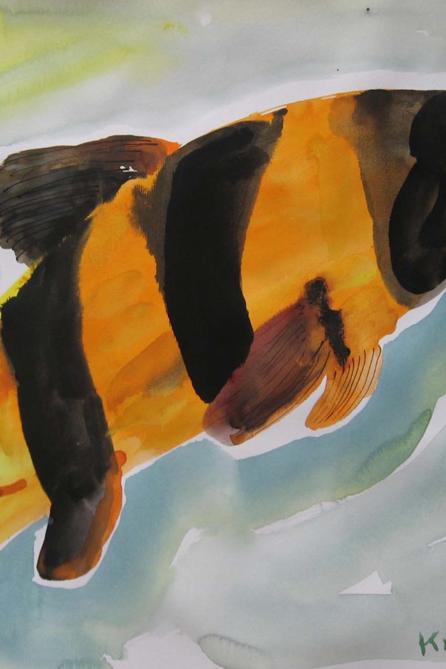 Картинка Марлен Дюма - Красочная рыба