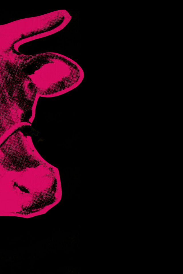 Картина Энди Уорхола красной коровы на черном фоне