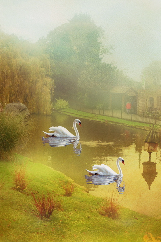 Пруд с лебедями