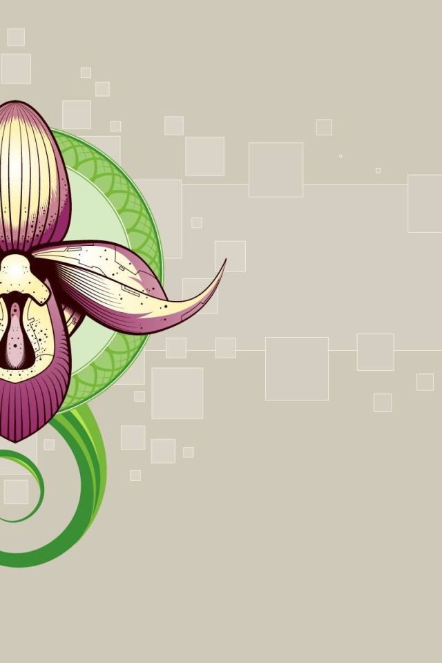 Рисунок орхидеи