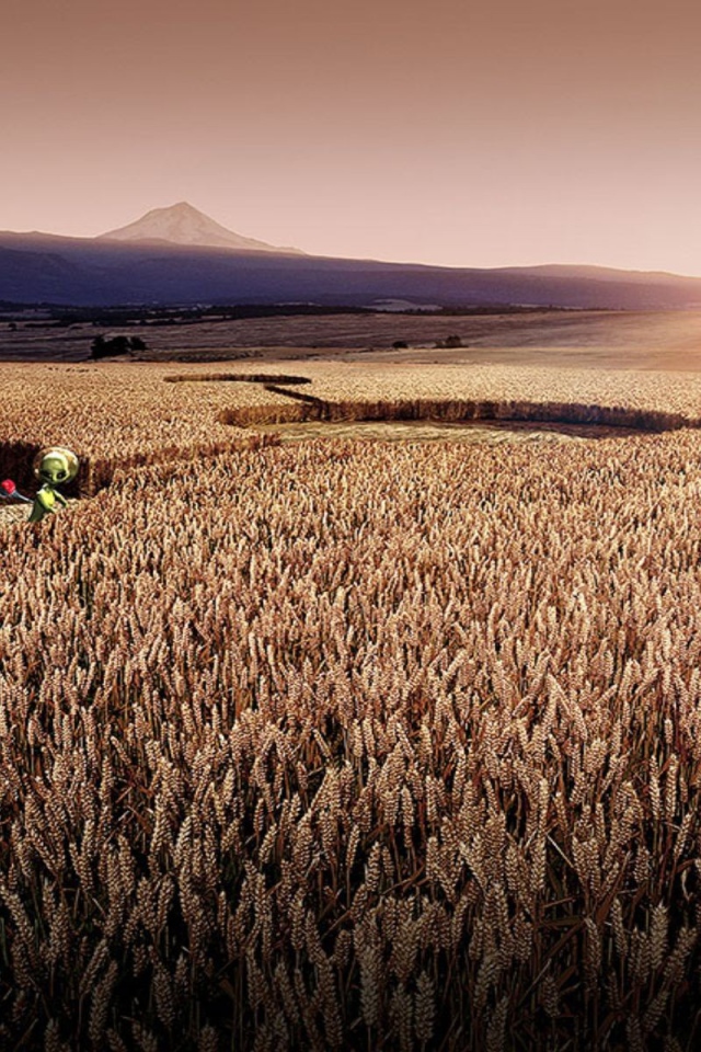 Цифровой рисунок поля