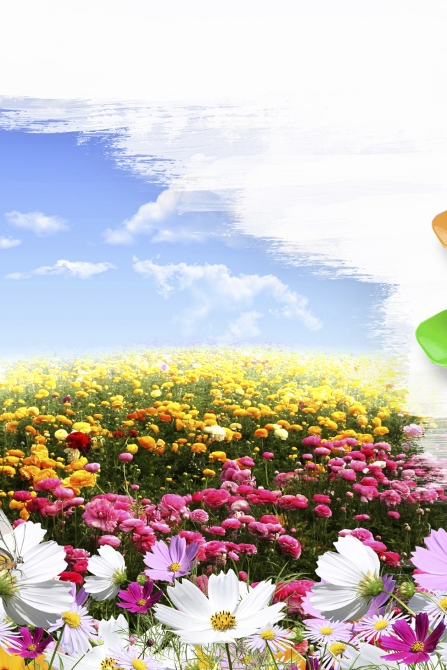 Поле цветов и кисти