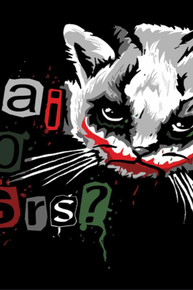 Забавный кот Джокер