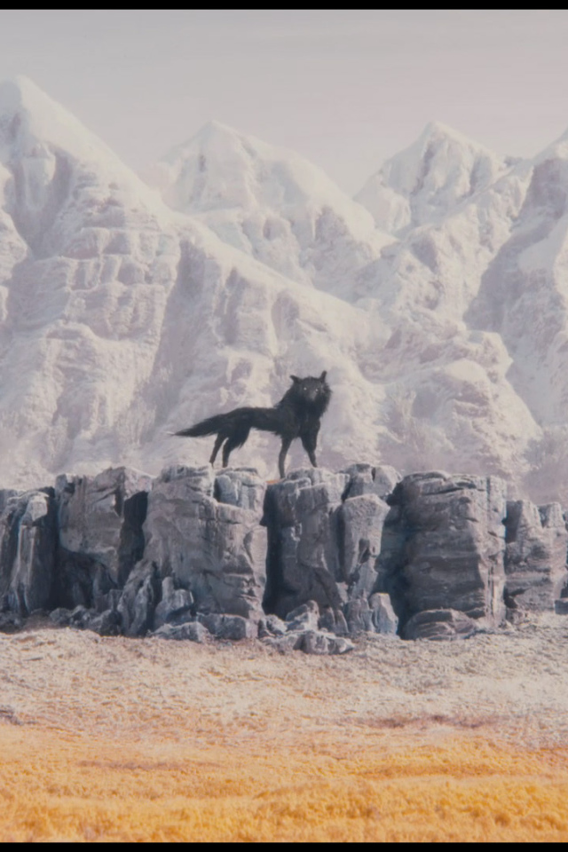 Оборотень мистер Фокс