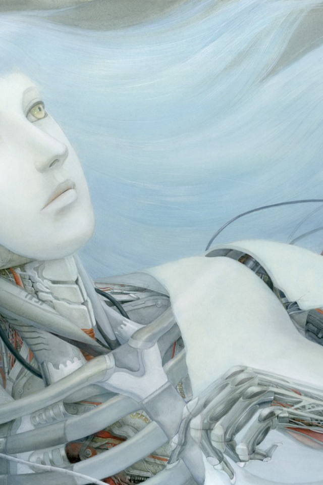 Андроид без кожи