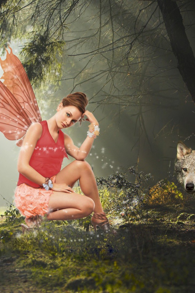 Фея и волк