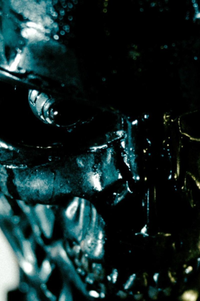 Обгоревший терминатор