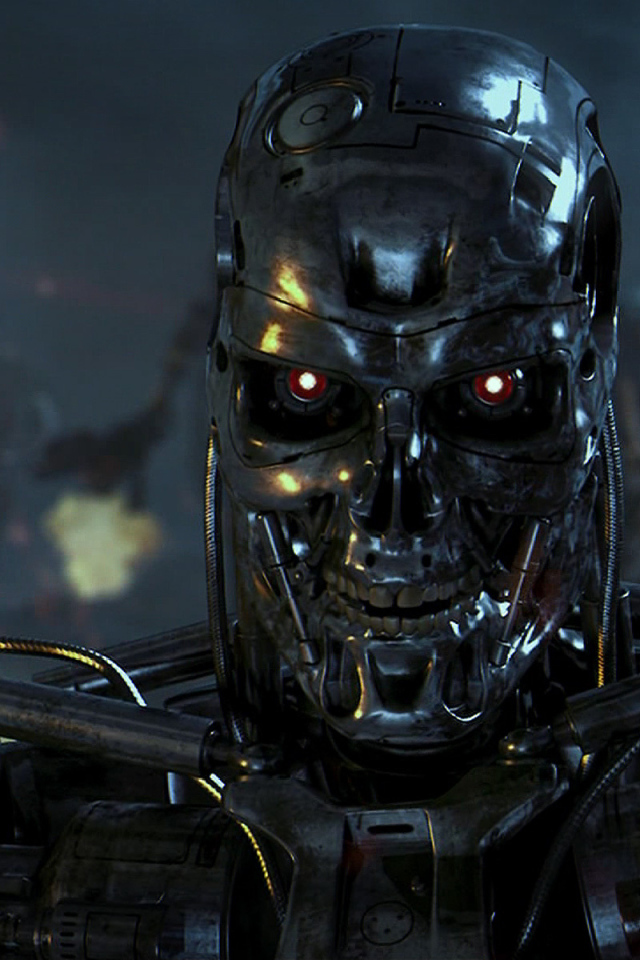 Взгляд терминатора