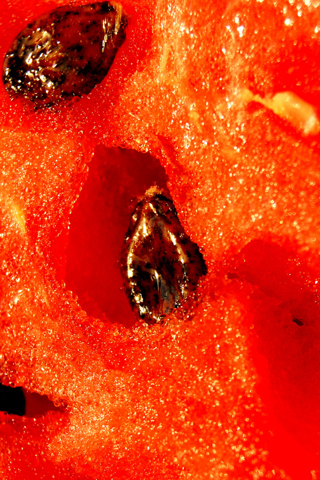 Яркий сочный арбуз