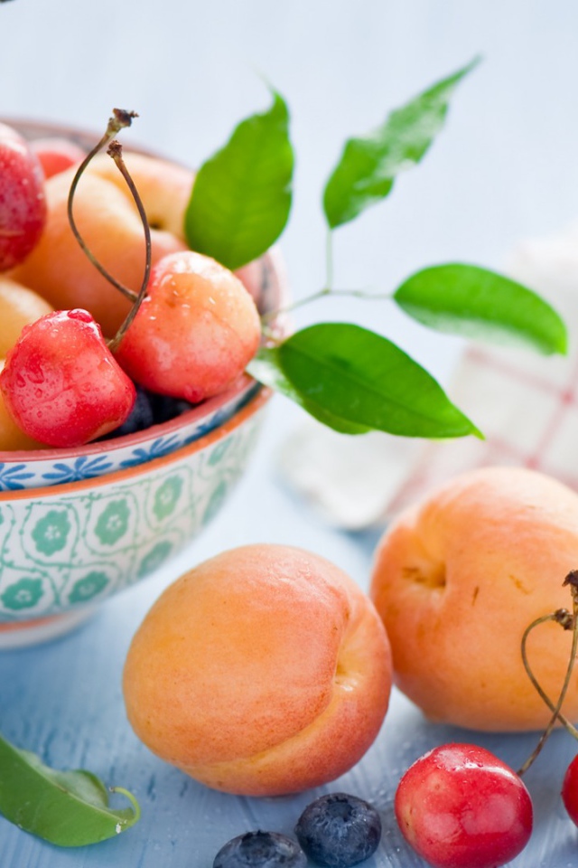 Садовые плоды