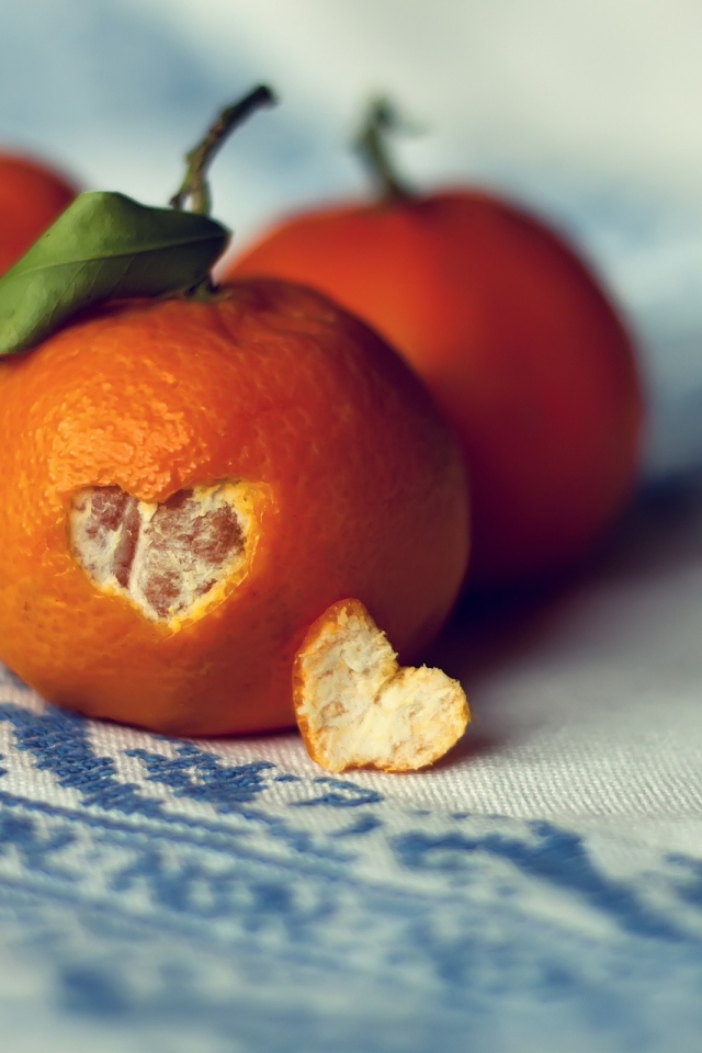 Heart at the orange