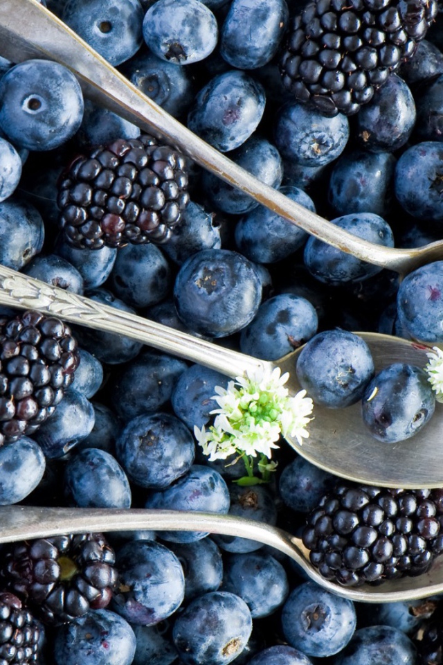 Ложки на чернике и ежевике