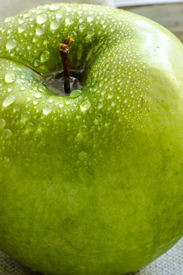 Wet apple on canvas