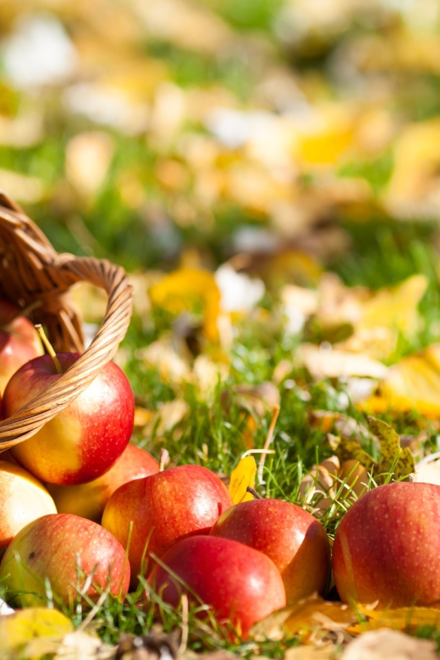 Корзина с яблоками