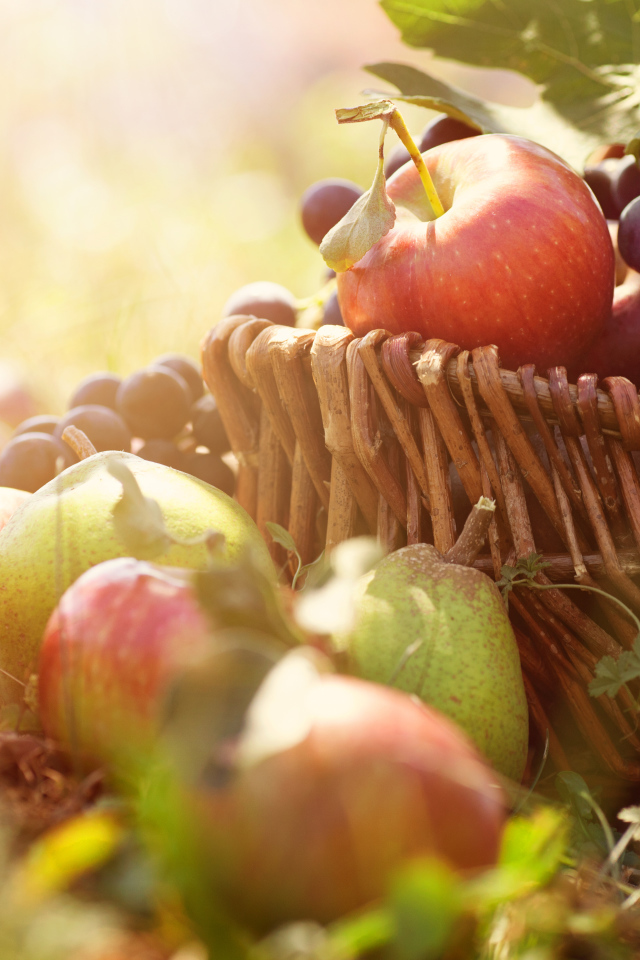 Фрукты в корзине