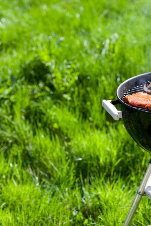 Барбекю гриль на природе