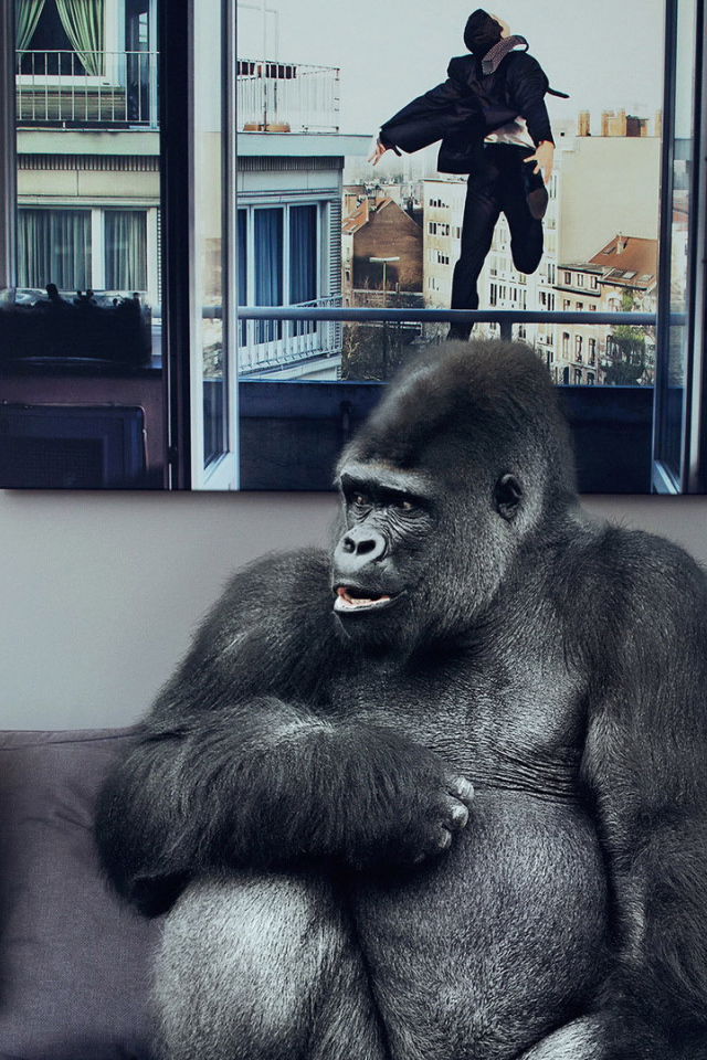 Обезьяна хочет банан