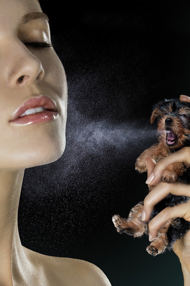 Духи из щенка