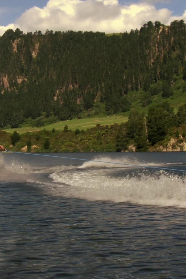 Медведь из мультфильма