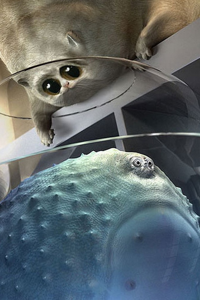 Толстый кот и толстая рыба