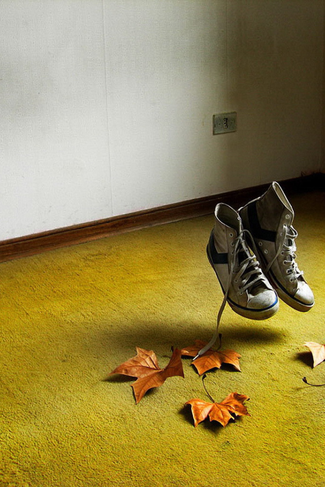 Летающие кеды