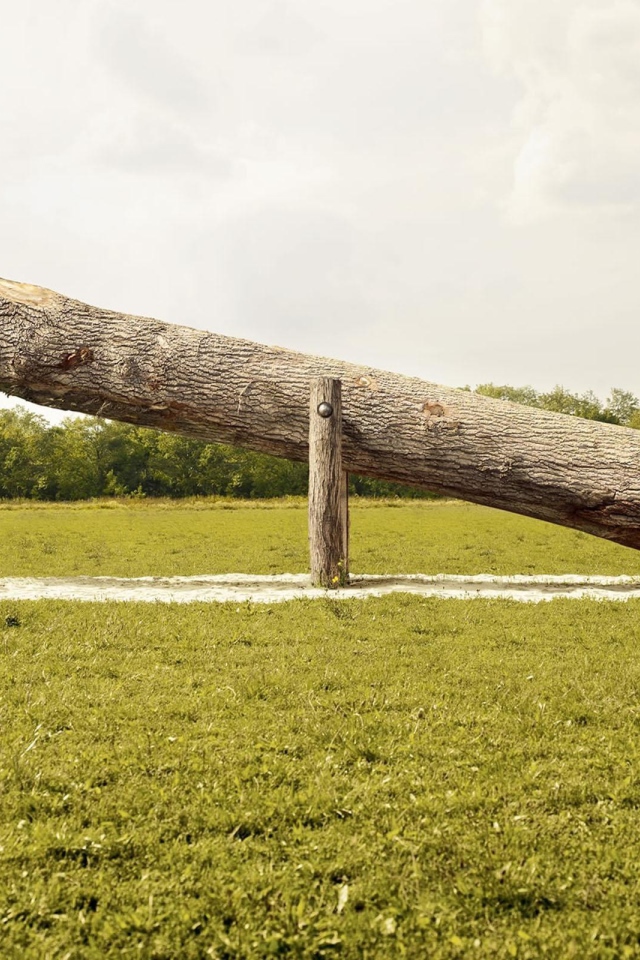 Маленькие дети на большой качели