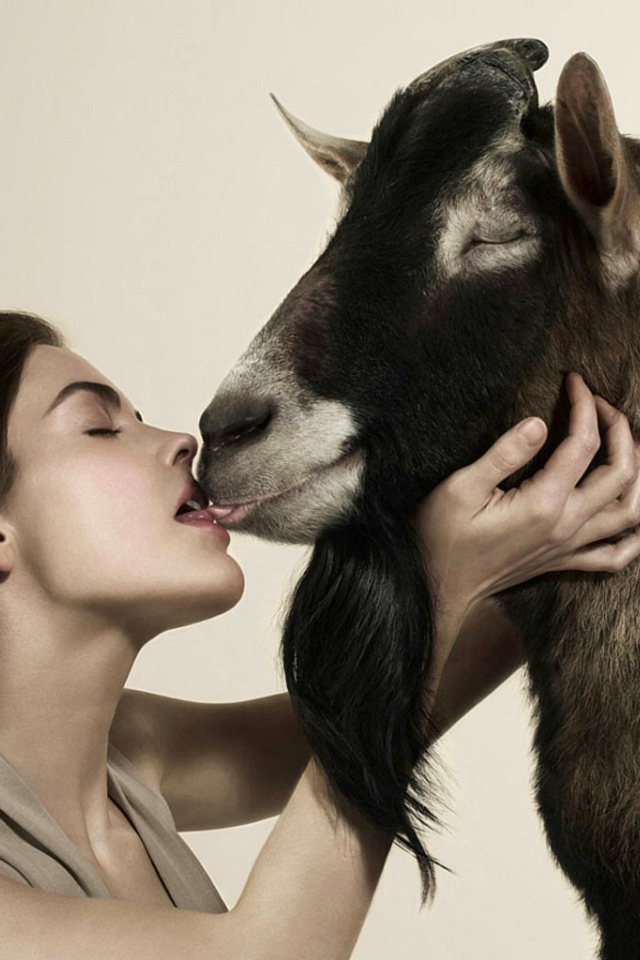 Любовь зла, полюбишь и козла