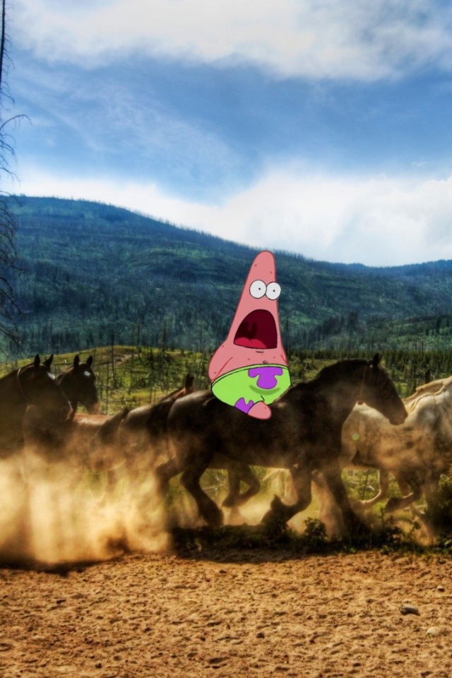 Патрик на лошадях