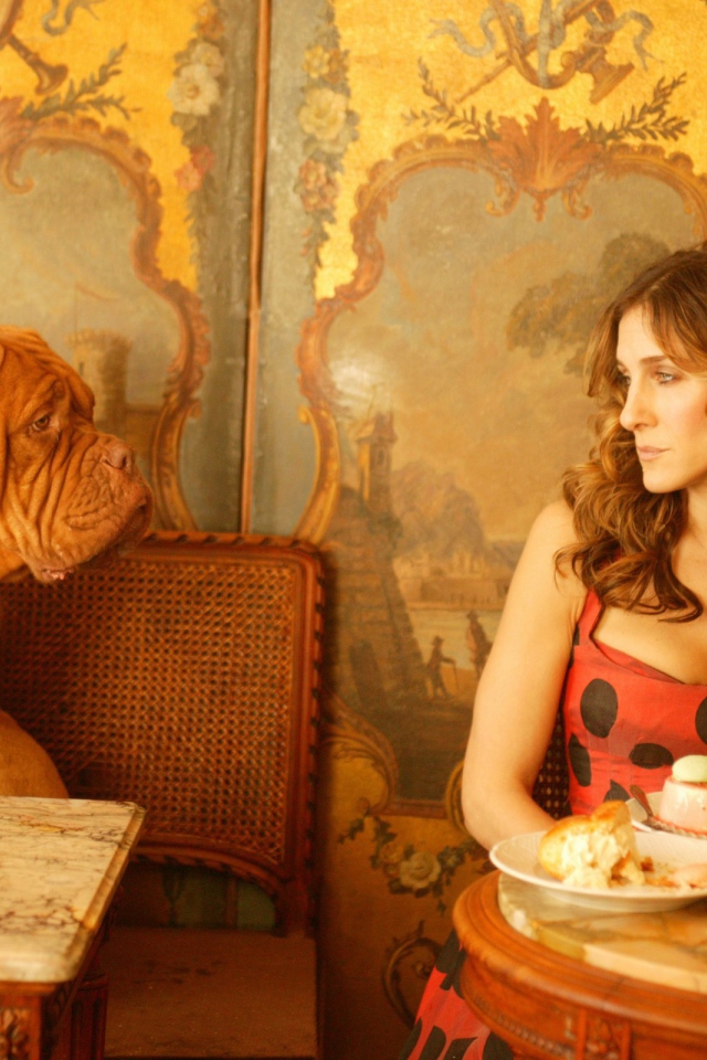 Собака просит еще еды