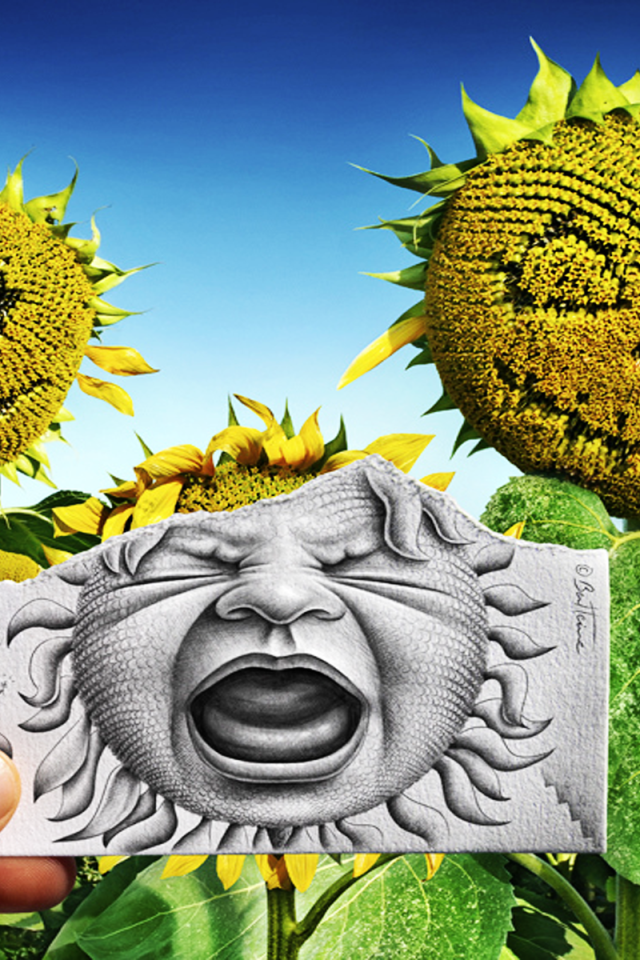 Лицо на подсолнухе