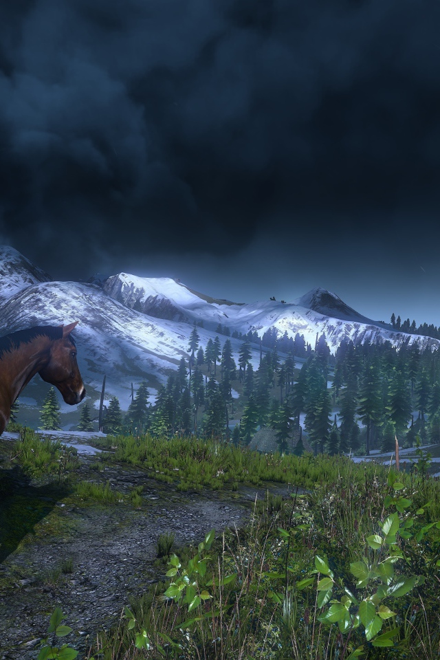 Герой на коне из игры Ведьмак