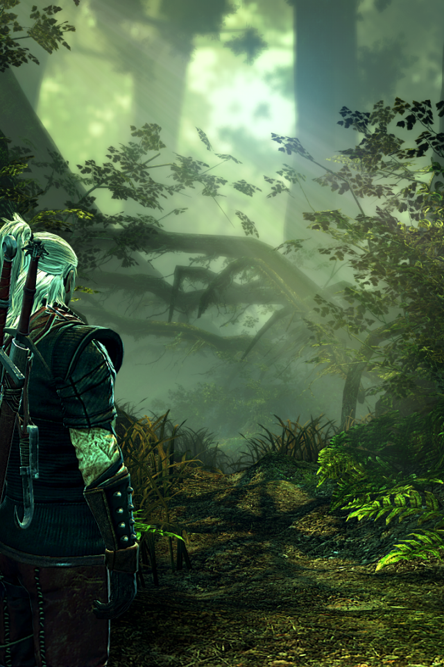 Jungle in the game The Witcher