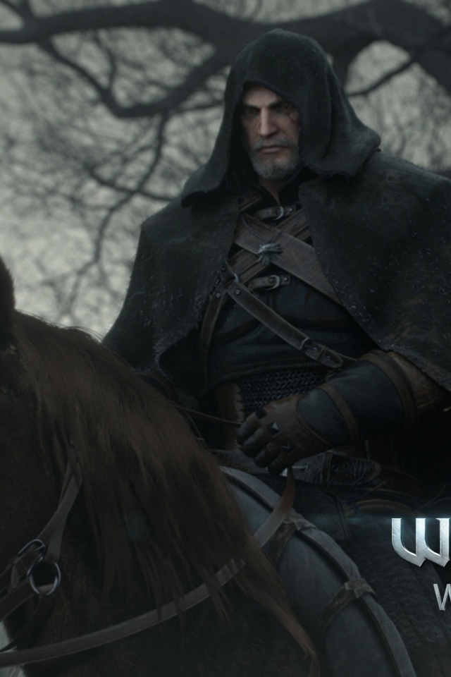 Всадник из игры Ведьмак