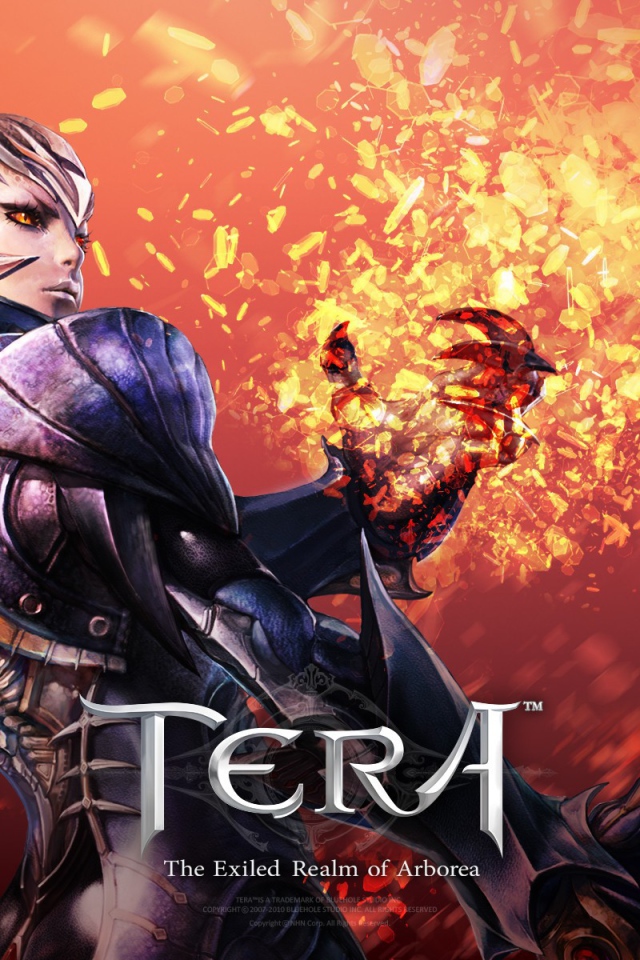 Воин из видео игры Тера