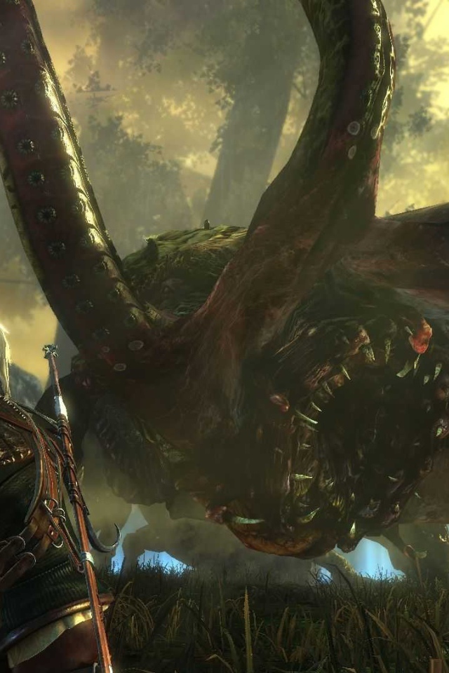 Лесной зверь в игре Ведьмак