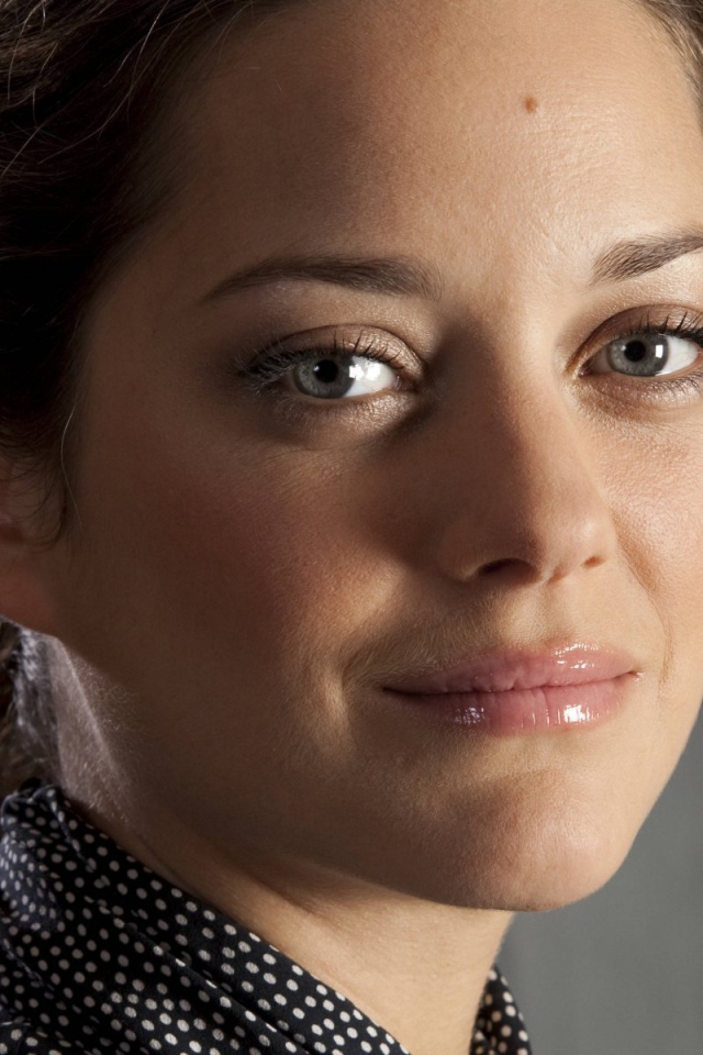 Известная звезда Марион Котийяр