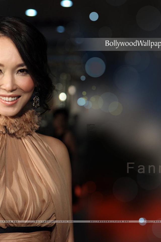 Популярная модель Фэнн Вонг