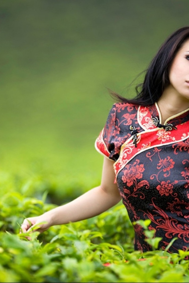 Девушка на чайной плантации