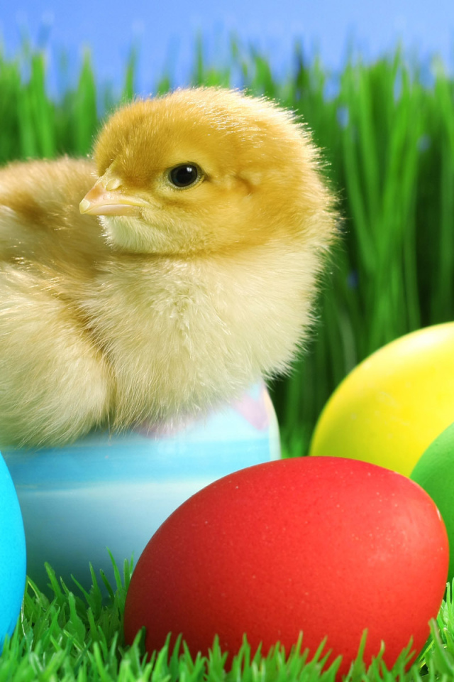 Цыпленок на яйце на Пасху