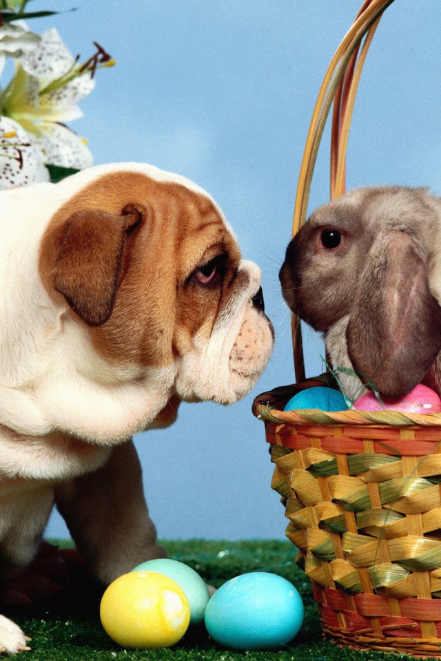 Собака и кролик на Пасху