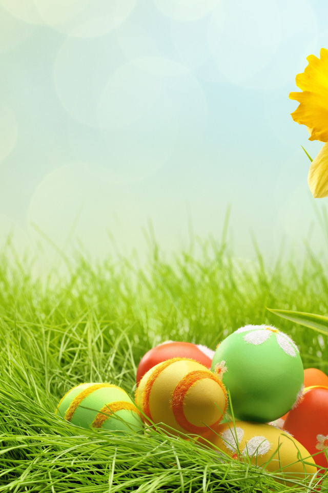 Яйца и желтый цветок на Пасху