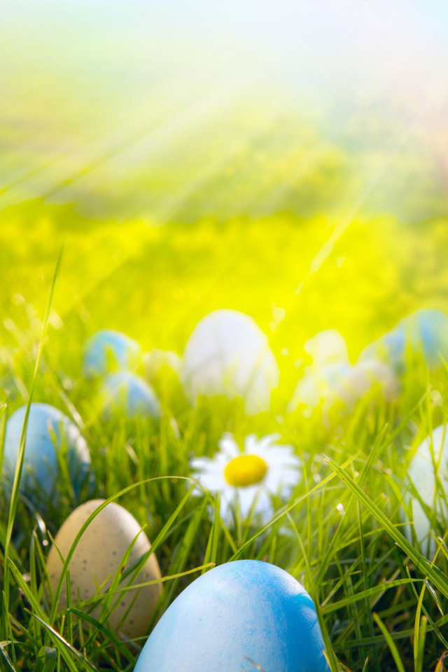 Яйца на лугу на Пасху