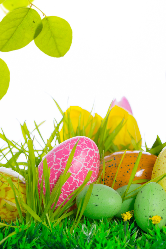 Весенняя зелень на Пасху