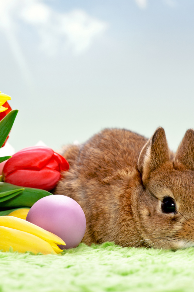 Букет тюльпанов и кролик на Пасху