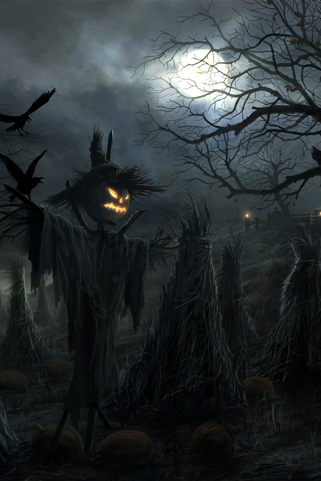 Лунная ночь на тыквенном поле