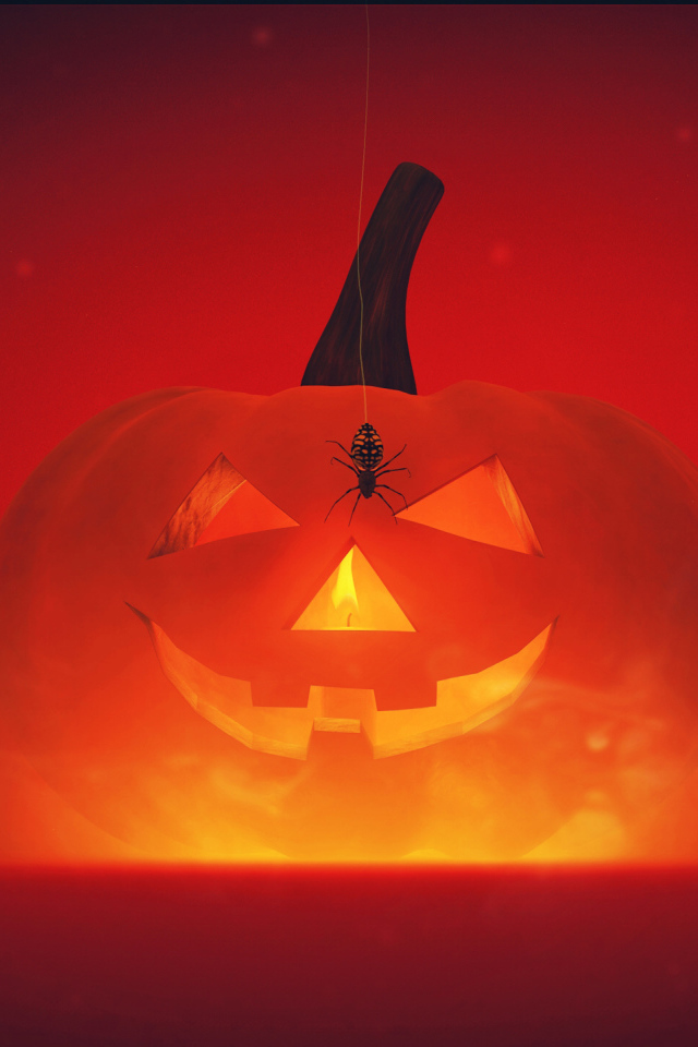 Паук на тыкве