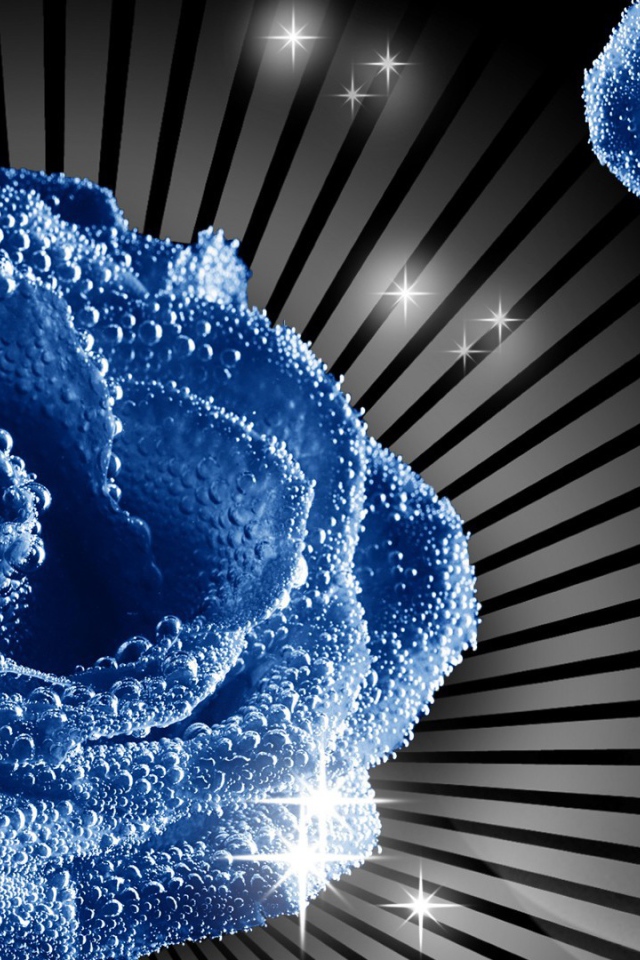 Синие роза и бабочка, картинка на восьмое марта