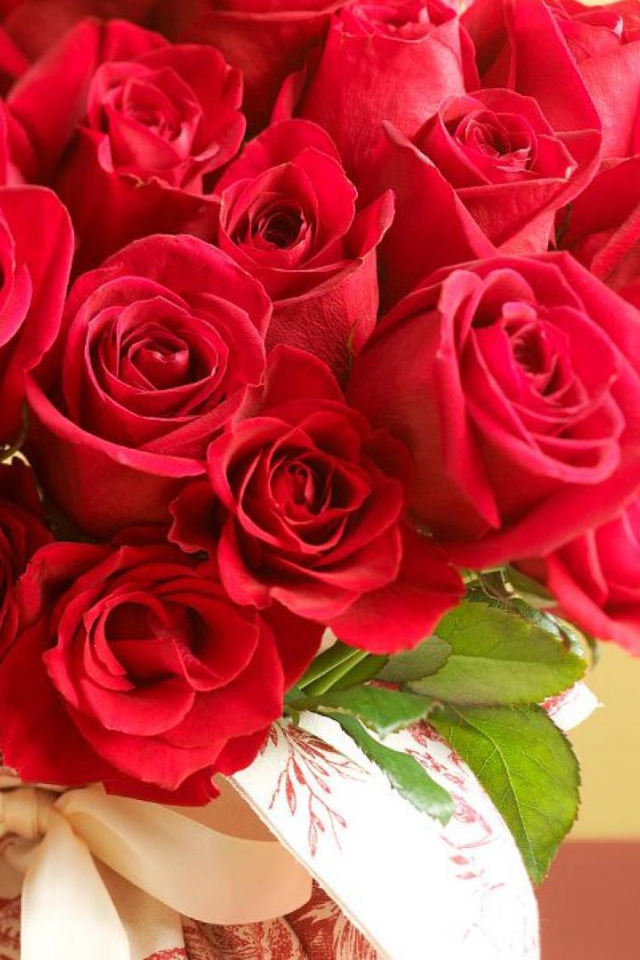 Букет красных роз на 8 марта на пастельном фоне